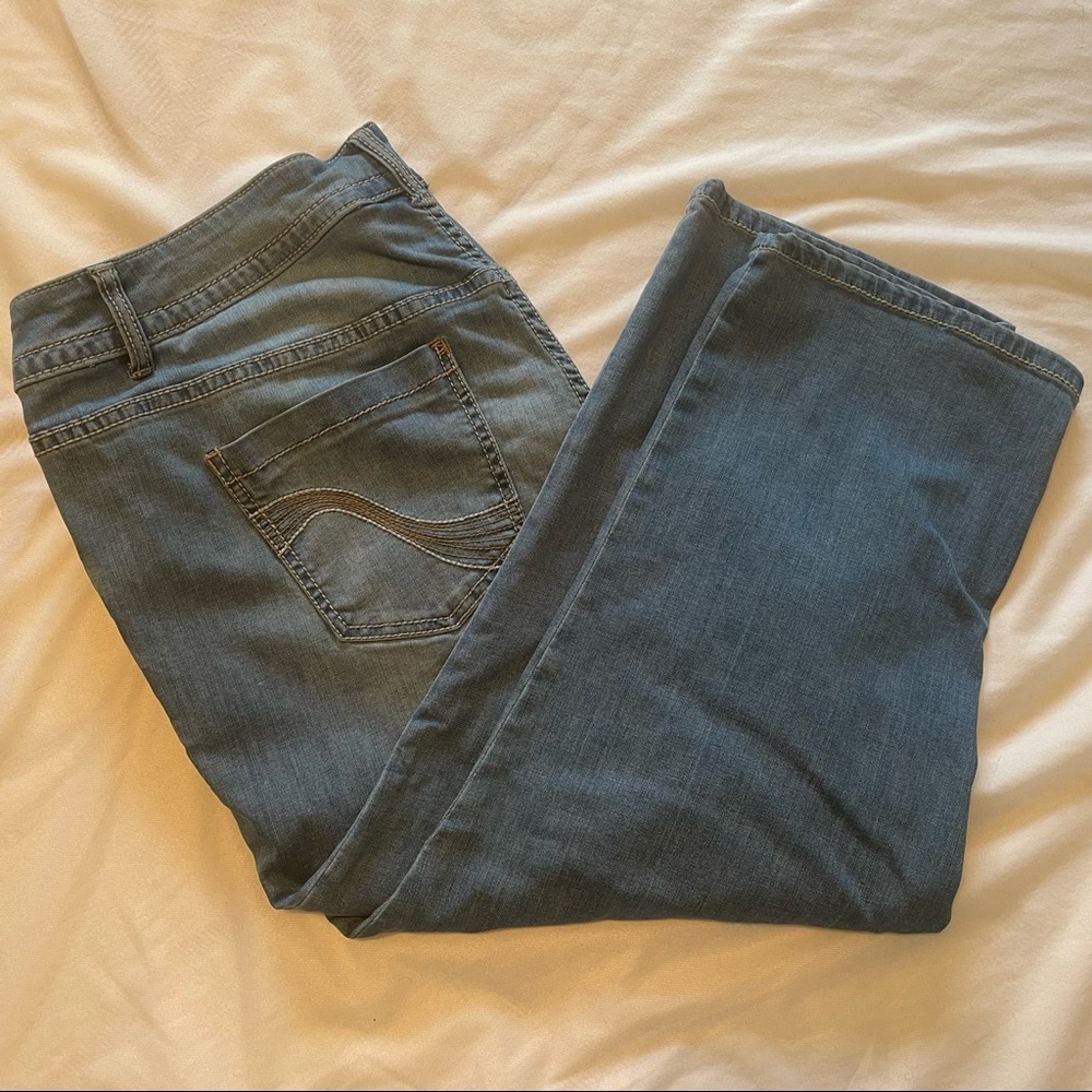 Lane Bryant Crop, 20